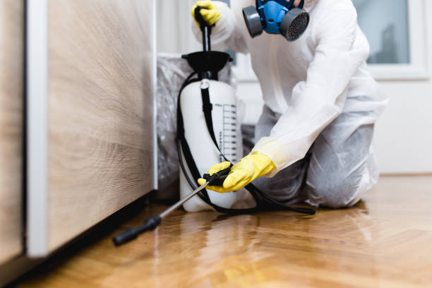 Best Pest Control Near Me in Alamo, TX