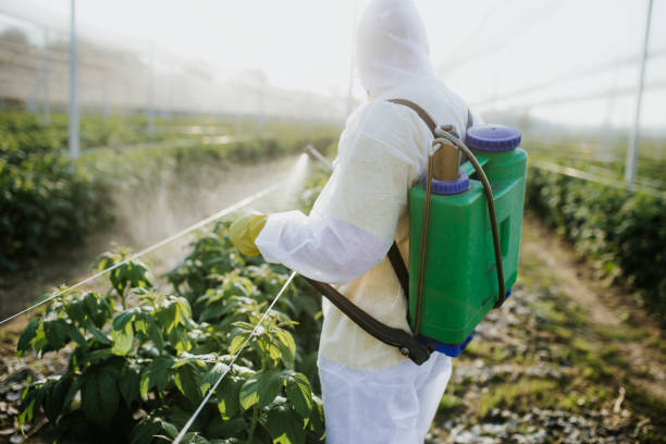 Alamo, TX Pest Control Company